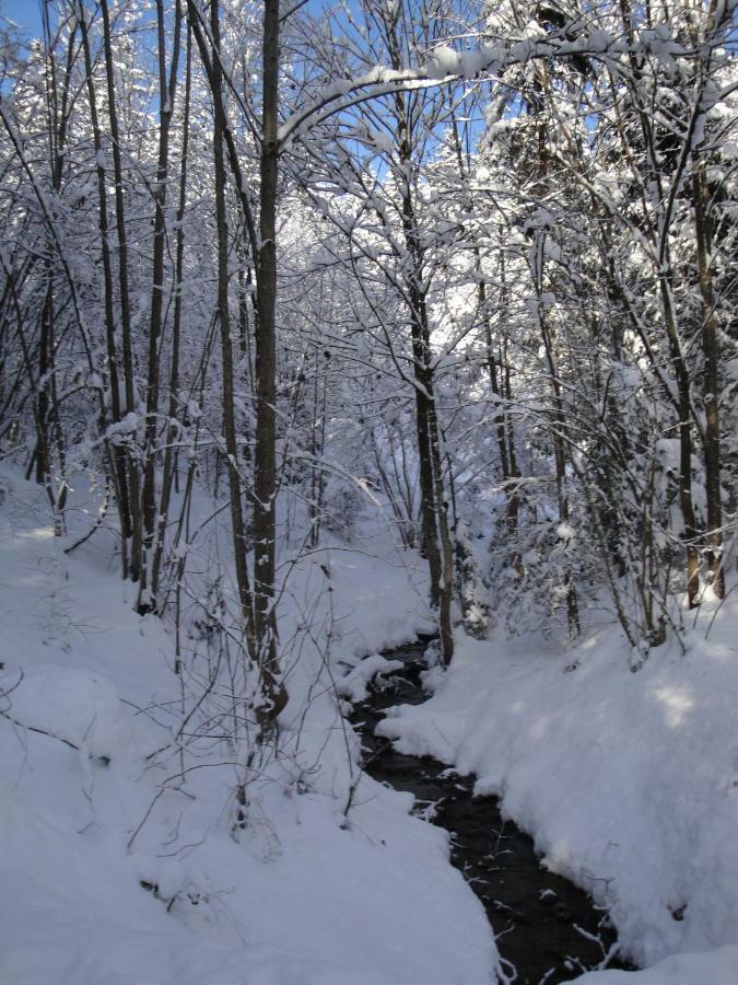 Chalet Tyrol 菲根 外观 照片
